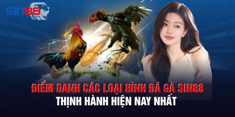 Điểm danh các loại hình đá gà Sin88 thịnh hành hiện nay nhất