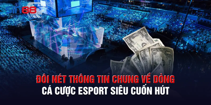 Đôi nét thông tin chung về dòng cá cược Esport siêu cuốn hút