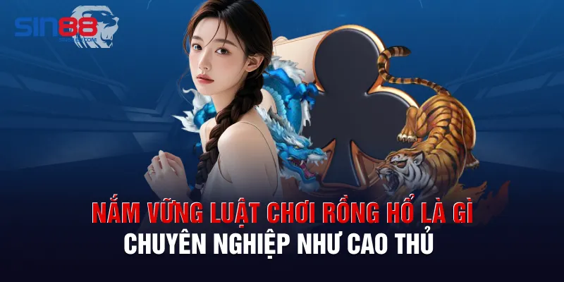 Nắm vững luật chơi Rồng Hổ là gì chuyên nghiệp như cao thủ