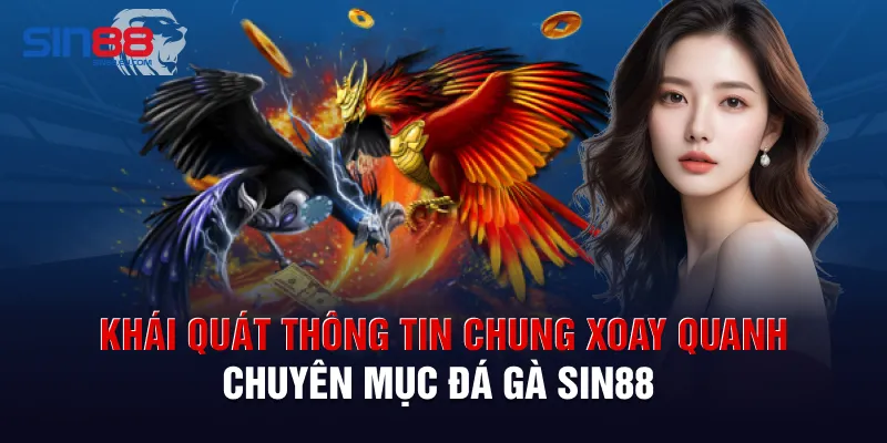 Khái quát thông tin chung xoay quanh chuyên mục đá gà Sin88