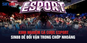 Kinh Nghiệm Cá Cược Esport Sin88 Dễ Đổi Vận Trong Chớp Nhoáng