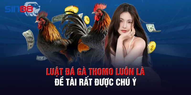 Luật đá gà Thomo luôn là đề tài rất được chú ý