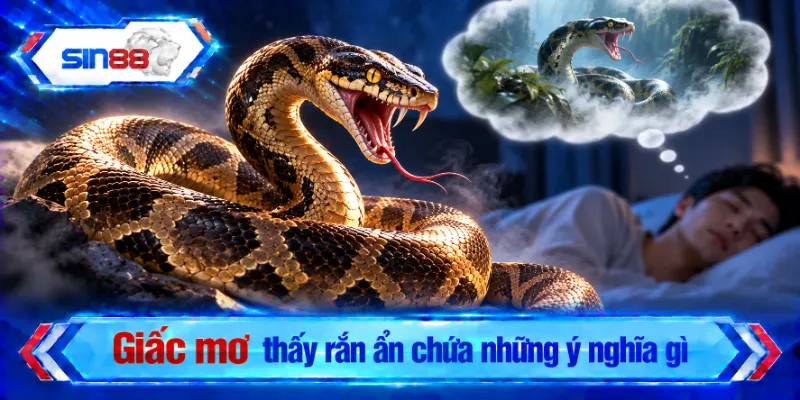 Giấc mơ thấy rắn ẩn chứa những ý nghĩa gì